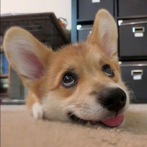 Meet your Posher, Heej